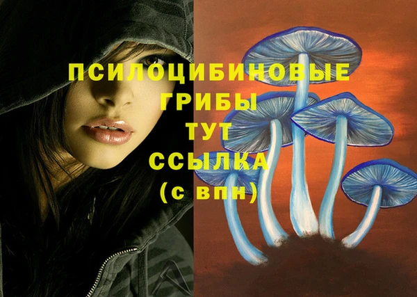 круглые Алексеевка