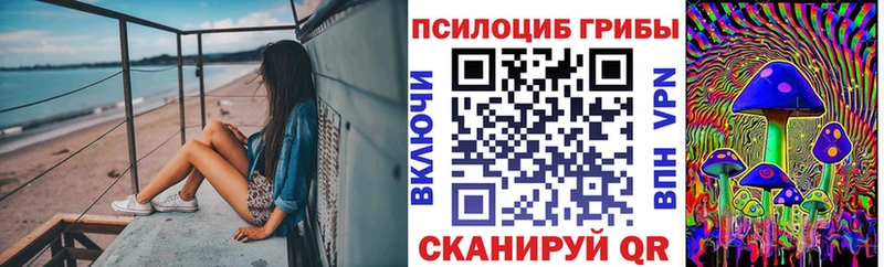 Псилоцибиновые грибы MAGIC MUSHROOMS  kraken ССЫЛКА  Отрадная 